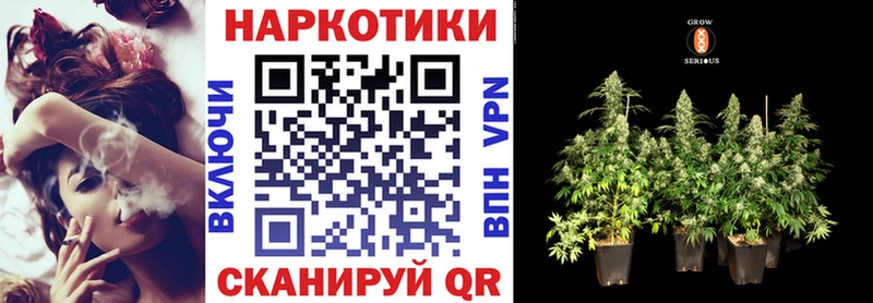 Как найти наркотики Волгодонск APVP Меф ГАШ Бошки Шишки Псилоцибиновые грибы Кокаин Амфетамин