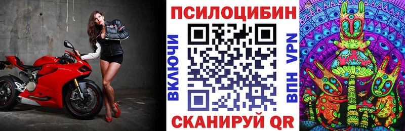 Галлюциногенные грибы Magic Shrooms  мориарти клад  Волгодонск 